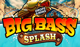 Big Bass Splash game cover